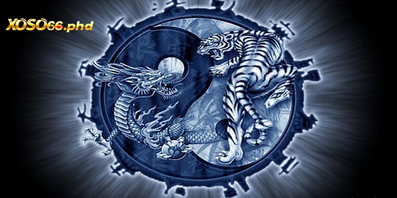 Những ưu điểm nổi trội của bộ môn rồng hổ